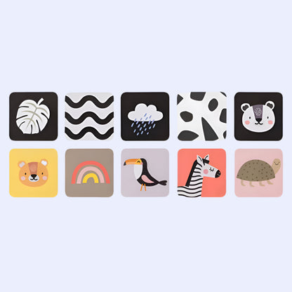 Newborn Develop & Play Kit Gift Set