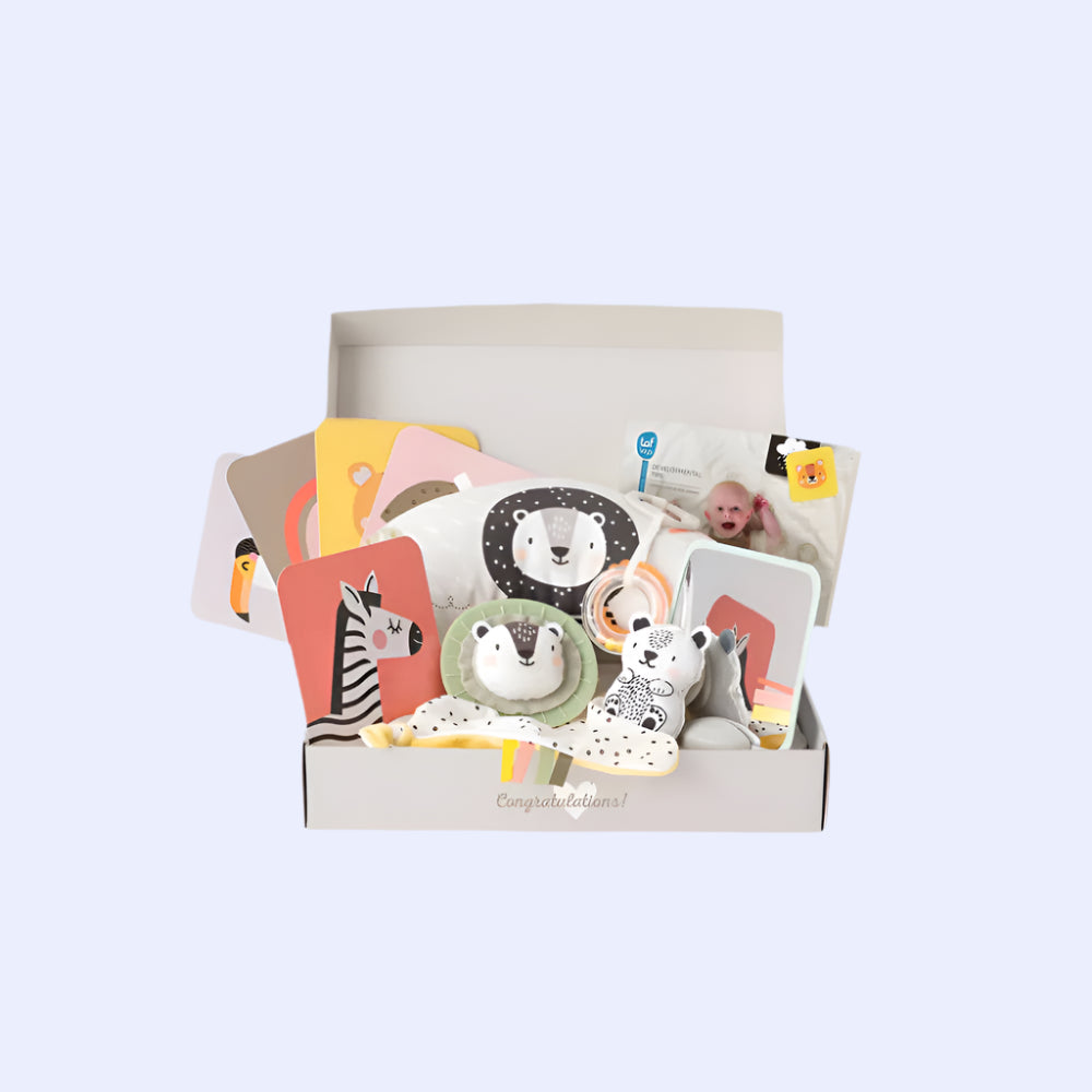 Newborn Develop & Play Kit Gift Set