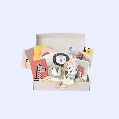 Newborn Develop & Play Kit Gift Set