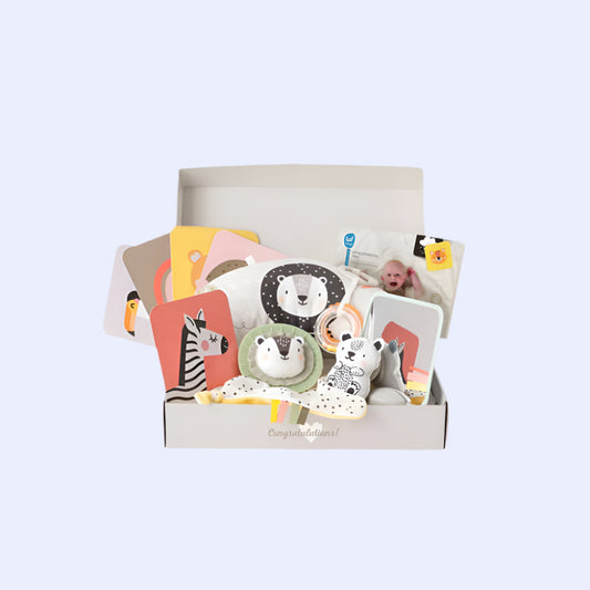 Newborn Develop & Play Kit Gift Set