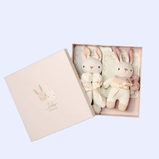 Organic Rattle & Comforter Gift Set